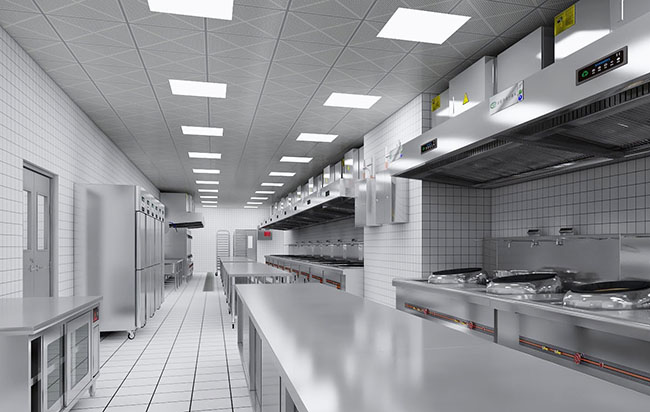 商用榴莲网站视频设计