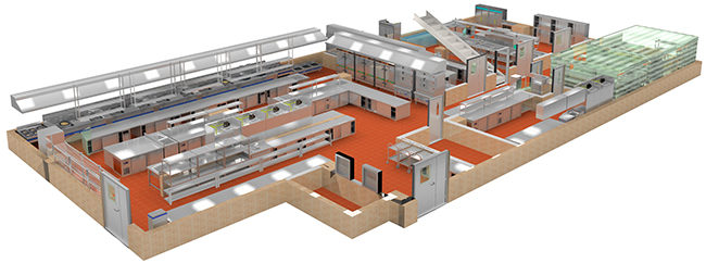 商用榴莲网站视频设计