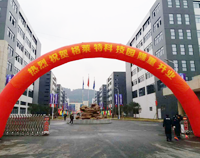 我公司又一力作，格莱特手机科技园食堂榴莲网站视频工程正式开业